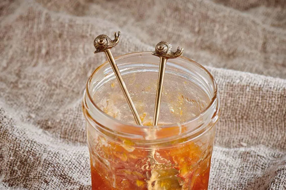 Snail Spoon Gift Set - Antique Brass (Set of 2)