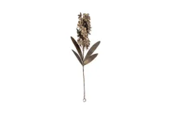 Svara Stem Hyacinth - Antique Brass