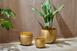 Tembesi Etched Planter - Antique Brass