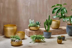 Tembesi Etched Planter - Antique Brass