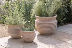 Ullu Terracotta Planter - Terracotta