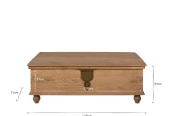 Vidur Mango Wood Chest - Natural