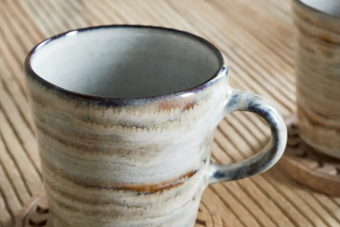 Vizo Mugs - Grey (Set of 2)